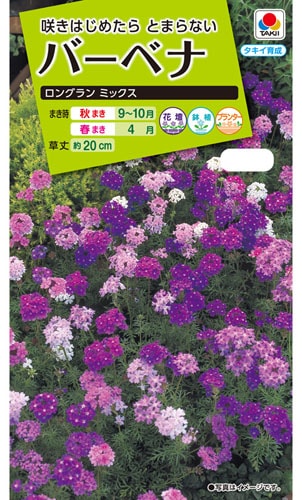 ※2025年春品切れ