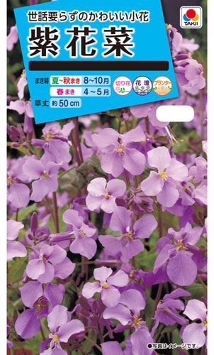 タキイ NL150 紫花菜 小袋[FZZ383]【取り寄せ注文】