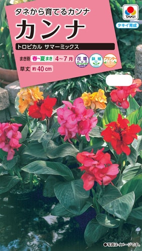 タキイ NL300 カンナ トロピカルサマーミックス 小袋 [FCA119]【取り寄せ注文】※春のみ商品【2026年春種予約商品】