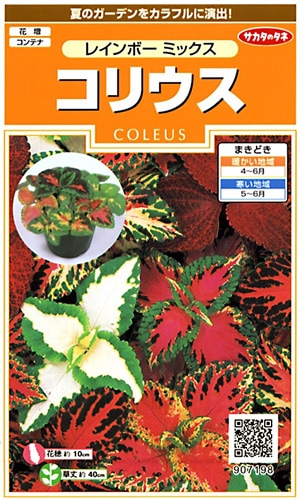 サカタのタネ 実咲200 コリウス レインボー ミックス 小袋[907198]【取り寄せ注文】※春のみ商品【2026年春種予約商品】 