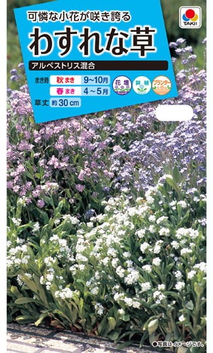 タキイ NL150 わすれな草 アルペストリス混合 小袋[FWS110]【取り寄せ注文】※通年商品