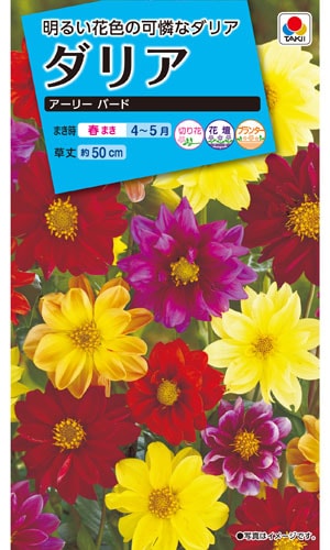 タキイ NL150 ダリア アーリーバード 小袋[FDR130]【取り寄せ注文】※春のみ商品【2026年春種予約商品】 