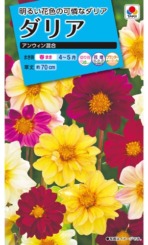 タキイ NL150 ダリア アンウィン混合 小袋[FDR140]【取り寄せ注文】※春のみ商品【2026年春種予約商品】 