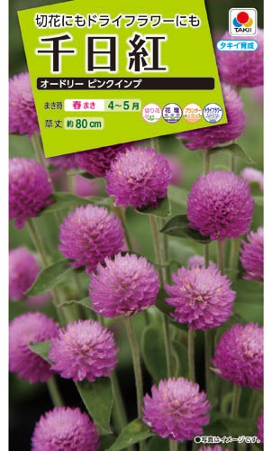 タキイ NL200 千日紅 オードリーピンクインプ 小袋[FSE168]【取り寄せ注文】※春のみ商品【2026年春種予約商品】 