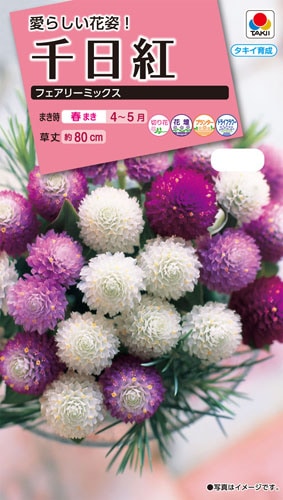 タキイ NL300 千日紅 フェアリーミックス 小袋[FSE170]【取り寄せ注文】※春のみ商品【2026年春種予約商品】 