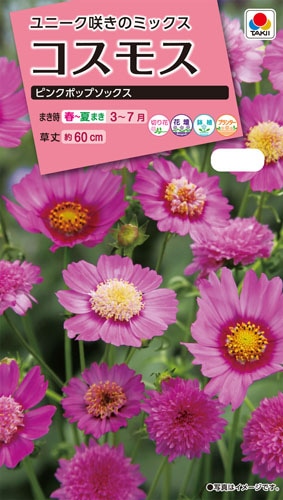 タキイ NL300 コスモス ピンクポップソックス 小袋[FCS365]【取り寄せ注文】【2027年春種予約商品】＊春のみ商品