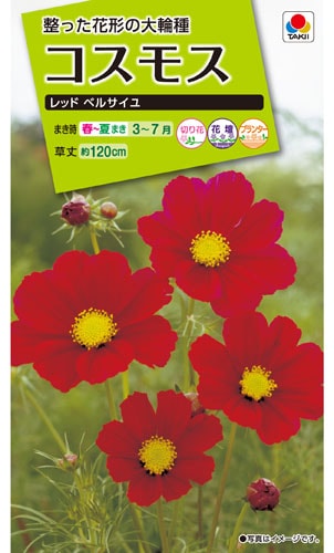 タキイ NL200 コスモス レッドベルサイユ 小袋[FCS122]【取り寄せ注文】※春のみ商品【2026年春種予約商品】