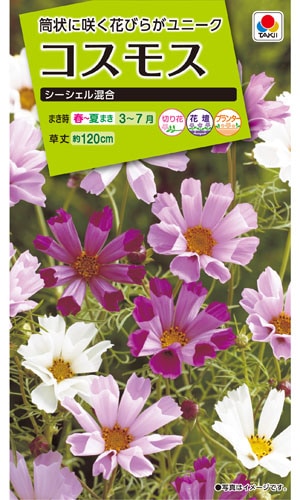 タキイ NL200 コスモス シーシェル混合 小袋[FCS140]【取り寄せ注文】※春のみ商品【2026年春種予約商品】