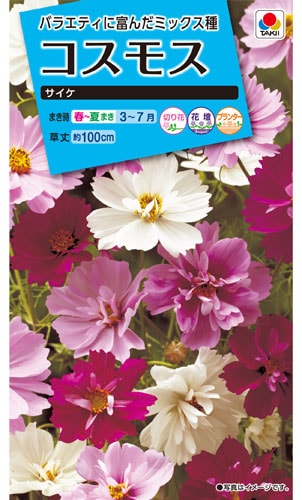 タキイ NL150 コスモス サイケ 小袋[FCS210]【取り寄せ注文】※春のみ商品【2026年春種予約商品】