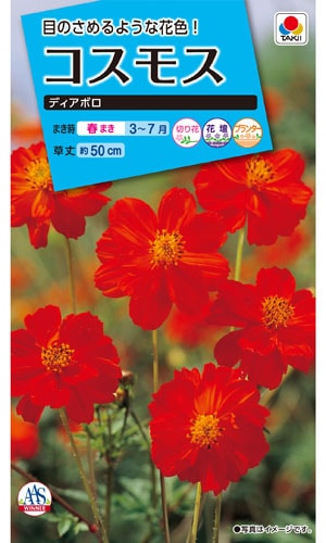 タキイ NL150 コスモス ディアボロ 小袋[FCS332]【取り寄せ注文】※春のみ商品【2026年春種予約商品】