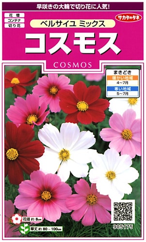 サカタのタネ 実咲350 コスモス ベルサイユ ミックス 小袋[905175]【取り寄せ注文】※春のみ商品【2026年春種予約商品】 