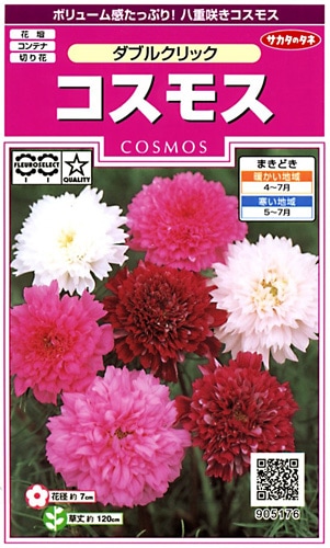 サカタのタネ 実咲350 コスモス ダブルクリック 小袋[905176]【取り寄せ注文】※春のみ商品【2026年春種予約商品】 