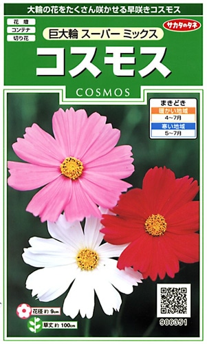 サカタのタネ 実咲250 コスモス 巨大輪スーパーミックス 小袋[906351]【取り寄せ注文】※春のみ商品【2026年春種予約商品】 