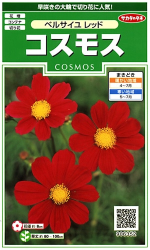 サカタのタネ 実咲250 コスモス ベルサイユ レッド 小袋[906352]【取り寄せ注文】※春のみ商品【2026年春種予約商品】 