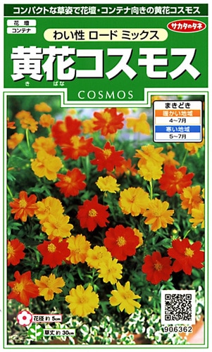 サカタのタネ 実咲250 黄花コスモス わい性 ロードミックス 小袋[906362]【取り寄せ注文】※春のみ商品【2026年春種予約商品】 
