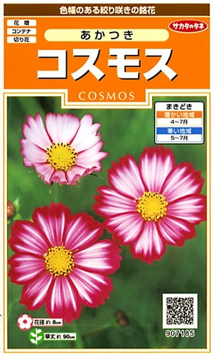 サカタのタネ 実咲200 コスモス あかつき 小袋[907185]【取り寄せ注文】※春のみ商品【2026年春種予約商品】 