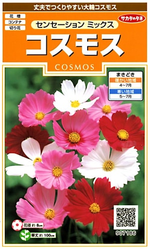 サカタのタネ 実咲200 コスモス センセーション ミックス 小袋[907186]【取り寄せ注文】※春のみ商品【2026年春種予約商品】 