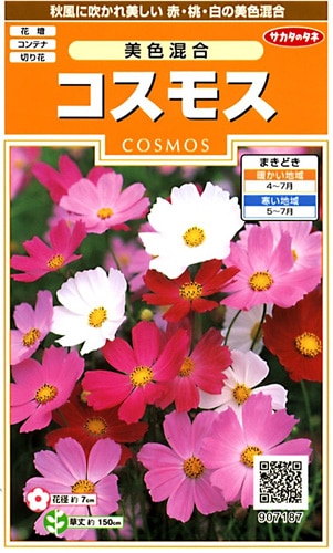 サカタのタネ 実咲200 コスモス 美色混合 小袋[907187]【取り寄せ注文】※春のみ商品【2026年春種予約商品】 