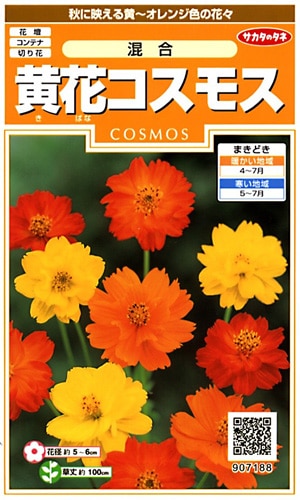 サカタのタネ 実咲200 黄花コスモス 混合 小袋[907188]【取り寄せ注文】※春のみ商品【2026年春種予約商品】 