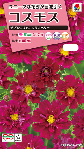 タキイ NL300 コスモス ダブルクリック クランベリー 小袋[FCS231]【取り寄せ注文】※春のみ商品【2026年春種予約商品】
