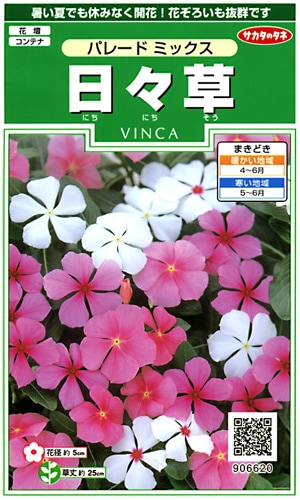 サカタのタネ 咲250 日々草 パレードミックス 小袋[906620]【取り寄せ注文】※春のみ商品【2026年春種予約商品】 