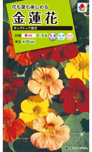 タキイ NL200 金蓮花 チップトップ混合 小袋[FKR339]【取り寄せ注文】※春のみ商品【2026年春種予約商品】