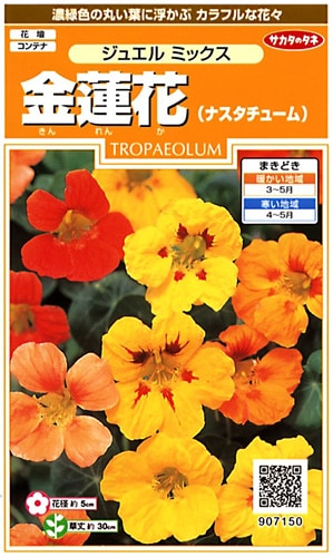 サカタのタネ 実咲200 金蓮花（ナスタチューム） ジュエル ミックス 小袋[907150]【取り寄せ注文】※春のみ商品【2026年春種予約商品】 