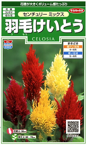 サカタのタネ 実咲250 羽毛けいとう センチュリーミックス 小袋[906331]【取り寄せ注文】※春のみ商品【2026年春種予約商品】 