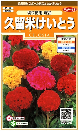 サカタのタネ 実咲200 久留米けいとう 切り花用 混合 小袋[907172]【取り寄せ注文】※春のみ商品【2026年春種予約商品】 