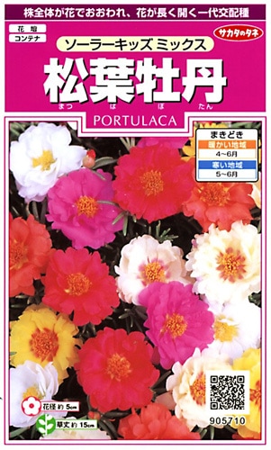 サカタのタネ 実咲350 松葉牡丹 ソーラーキッズミックス 小袋[905710]【取り寄せ注文】※春のみ商品【2026年春種予約商品】 