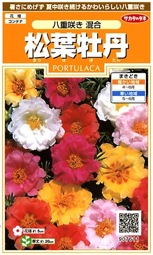 サカタのタネ 実咲200 松葉牡丹 八重咲き 混合 小袋[907611]【取り寄せ注文】※春のみ商品【2026年春種予約商品】 