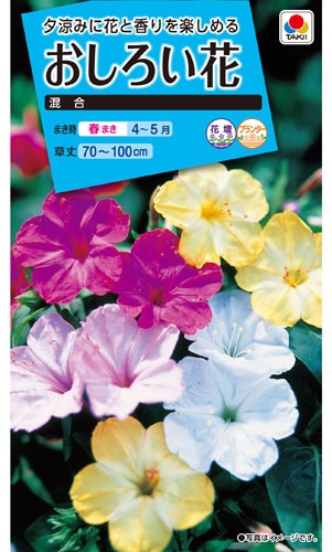 タキイ NL150 おしろい花 混合 小袋[FOS050]【取り寄せ注文】※春のみ商品【2026年春種予約商品】