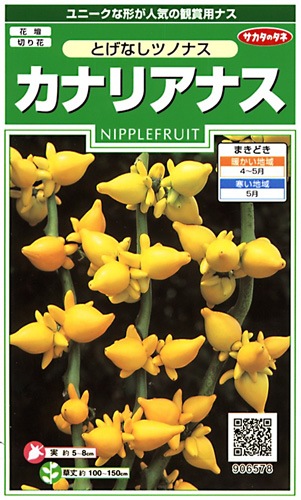 サカタのタネ 実咲250 カナリアナス とげなしツノナス 小袋[906578]【取り寄せ注文】※春のみ商品【2026年春種予約商品】 