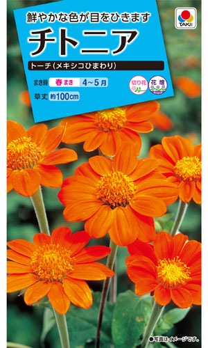 タキイ NL150 チトニア トーチ（メキシコひまわり) 小袋[FZZ330]【取り寄せ注文】※春のみ商品【2026年春種予約商品】
