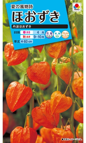 タキイ NL150 ほおずき 丹波ほおずき 小袋[FZZ320]【取り寄せ注文】※春のみ商品【2026年春種予約商品】