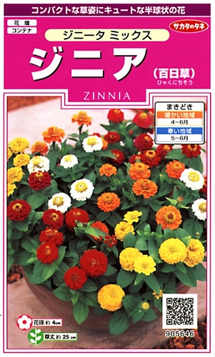 サカタのタネ 実咲350 ジニア(百日草)ジニータ ミックス 小袋[905646]【取り寄せ注文】※春のみ商品【2026年春種予約商品】 