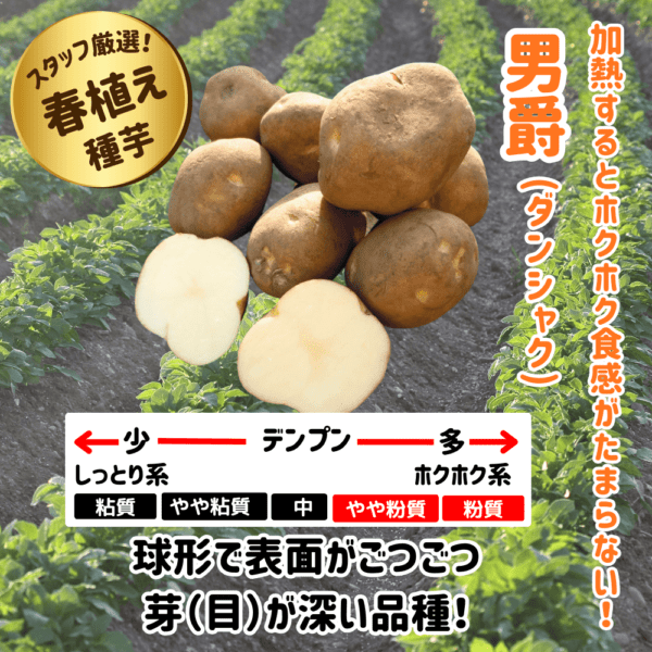 【2026年春】馬鈴薯 種芋 春作 男爵(ダンシャク) 1kg/10kg ※在庫ありとなっていても売り切れの場合がございます。売り切れの場合、ご注文をキャンセルさせていただきます。
