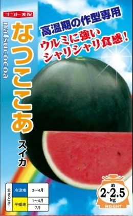 ナント種苗 小玉スイカ種子 なつここあ（黒皮赤肉）【取り寄せ注文