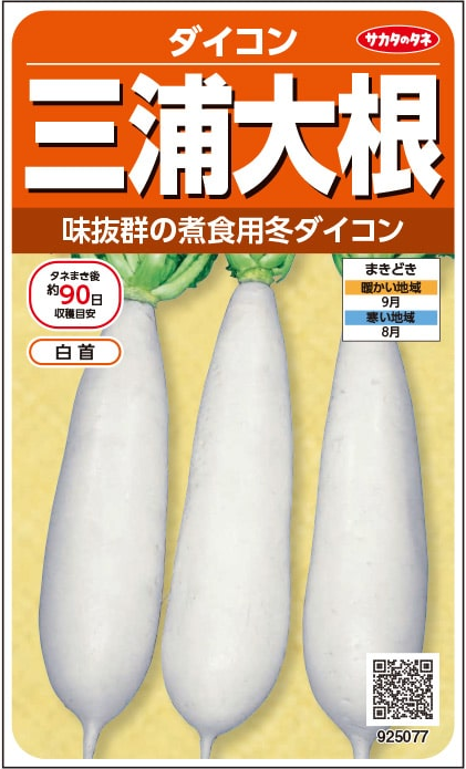 サカタのタネ ダイコン種子 三浦大根 実咲小袋[925077]【取り寄せ注文