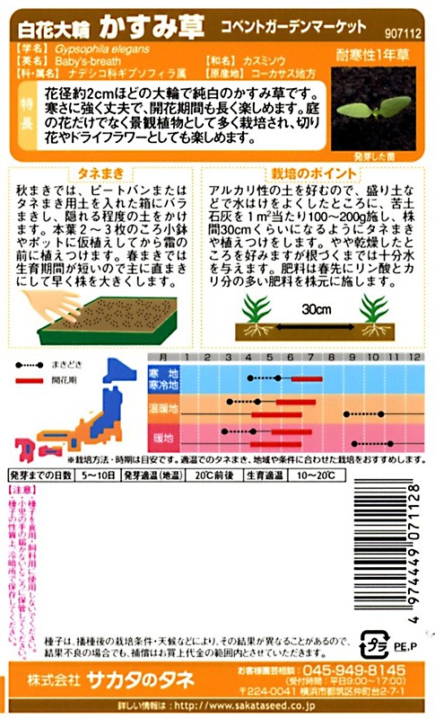 サカタのタネ 実咲200 白花大輪 かすみ草 コベントガーデンマーケット