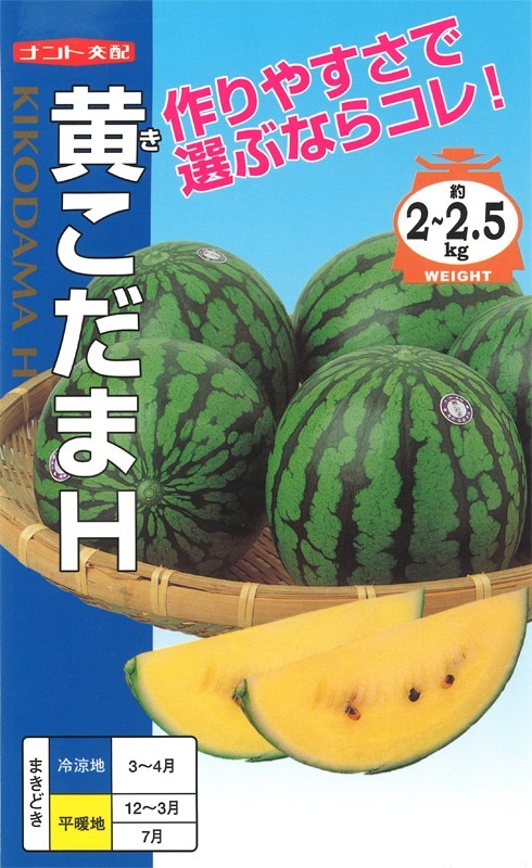 ナント種苗 小玉スイカ種子 黄こだまH【取り寄せ注文】※低発芽のため10