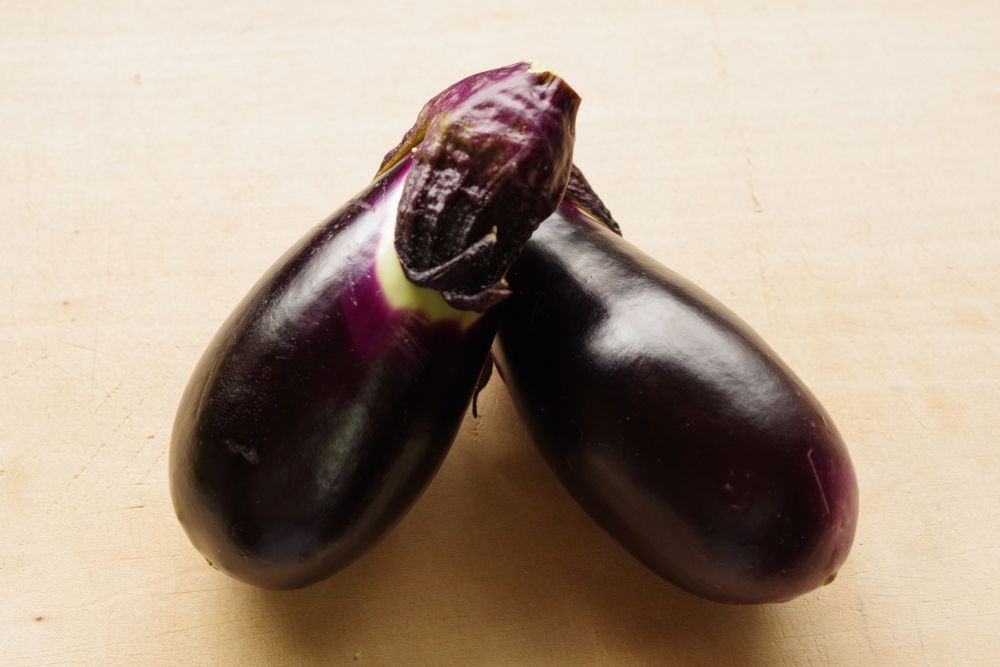 鶴頸種苗 ナス種子 寺島茄子（別名：蔓細千成なす）（小袋：20粒