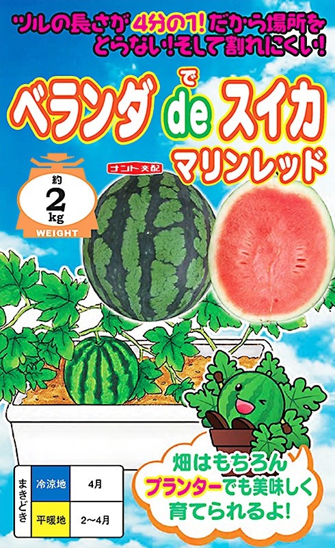 ナント種苗 スイカ種子 ベランダdeスイカ(マリンレッド)【取り寄せ注文