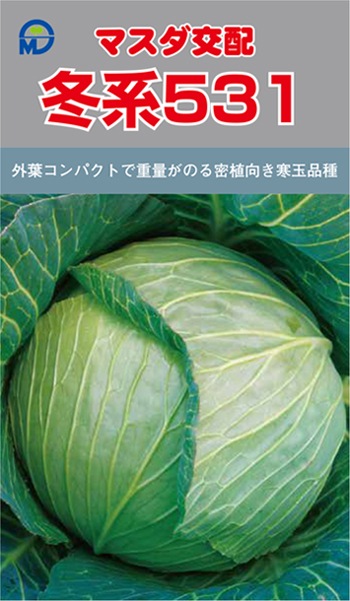 増田採種場 キャベツ種子 冬系531【取り寄せ注文】 | 小林種苗公式通販