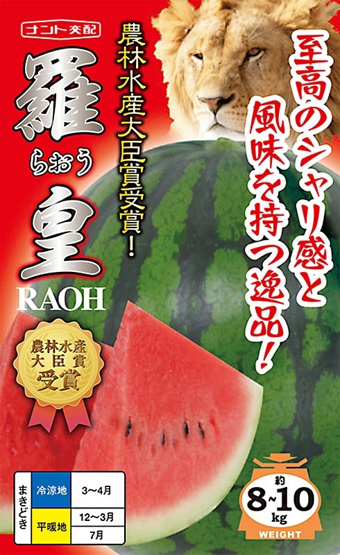 希少種‼️タイ産 本ナロー 石付き特大株 受注生産】クロス ペンダント 18金 超特大 大きい サイズ K18 crosa