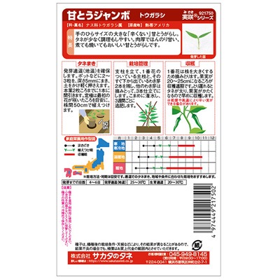 サカタのタネ トウガラシ種子 甘とうジャンボ 満作 実咲小袋【取り寄せ