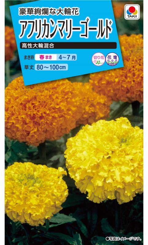 タキイ NL150 アフリカンマリーゴールド 高性大輪混合 小袋[FMN110