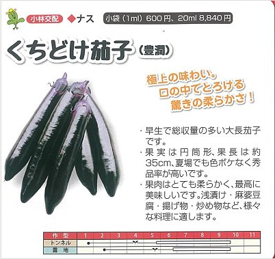 小林種苗 ナス種子 くちどけ茄子(豊潤)＊種子有効期限2026年10月末