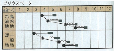 トキタ種苗 ホウレンソウ種子 プリウスベータ【取り寄せ注文