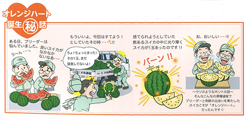 大和農園 中玉スイカ種子 オレンジハート【取り寄せ注文】 | 小林種苗